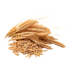 Wheat isolated on transparent background