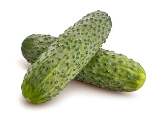 fresh pickling cucumber path isolated on white