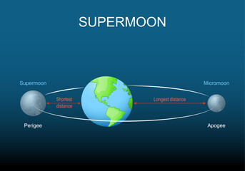  Supermoon, micromoon, apogee, perigee. Lunar cycle. - obrazy, fototapety, plakaty