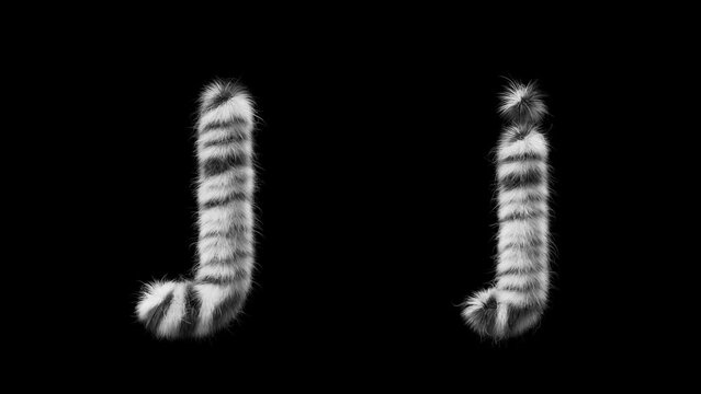 3D animation of a uppercase and lowercase woolen letter J. Wool in the style of the Zebra animal. The file contains an Alpha Channel. ProRes4 RGBA