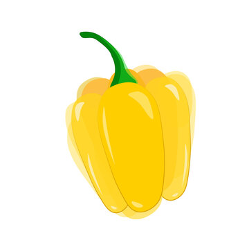 Yellow pepper in watercolour imitation with green tail, outline and highlights on white background. Isolate. Vector.