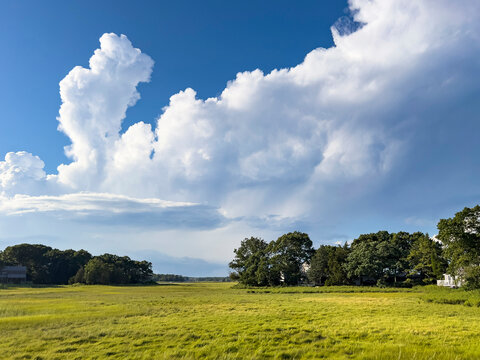 Marsh nature Landscape Massachusetts cumulonimbus cloud 