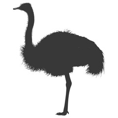 Silhouette ostrich animal black color only full body - obrazy, fototapety, plakaty
