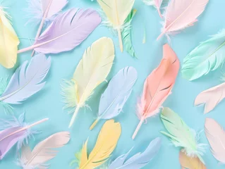 Wandaufkleber a group of colorful feathers © Alexandru
