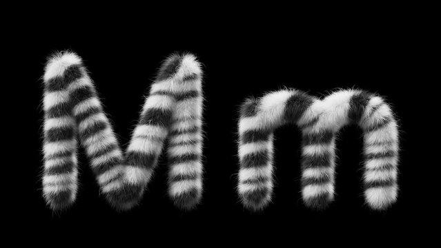 3D animation of a uppercase and lowercase woolen letter M. Wool in the style of the Zebra animal. The file contains an Alpha Channel. ProRes4 RGBA