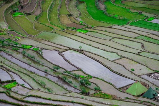 Rice terraces in the Far East. Rice cultivation using traditional methods for 2000 years.