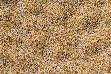 scattered white quinoa seeds, close up