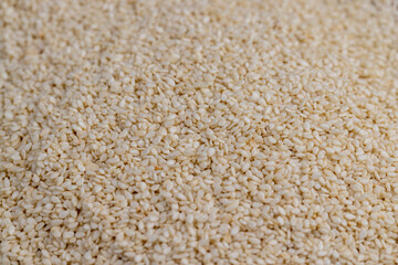 used in cooking sesame seeds