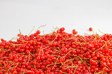 red currants on a white background, closeup