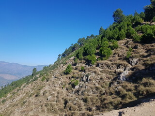 In summer, mountains with green forests and blue skies.