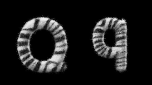3D animation of a uppercase and lowercase woolen letter Q. Wool in the style of the Zebra animal. The file contains an Alpha Channel. ProRes4 RGBA