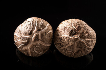 Elegant Contrast: 4K Ultra HD Image of Fresh Shiitake Mushroom on Black Background