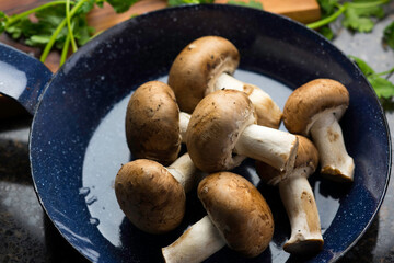 Culinary Treasure: 4K Ultra HD Image of Dried Shiitake Mushroom