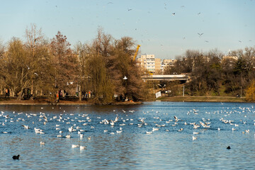 Tineretului park from Bucharest, Romania.