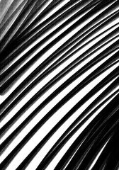 Bold acrylic watercolour charcoal ink hand drawn illustration