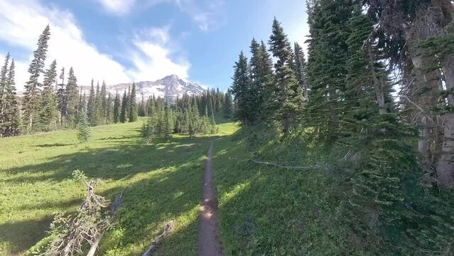 Hiking on Meadow Toward Myrtle Point in Mount Rainier National Park