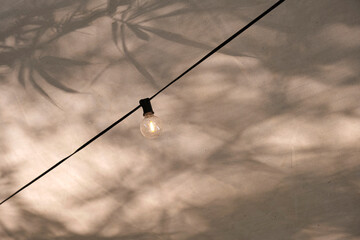 Closeup of lights in a camping canopy with bamboo shadows background