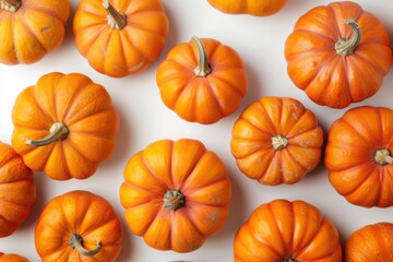 A row of orange pumpkins with a white background