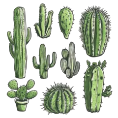 Raamstickers Cactus A Hand Drawn Set of Cactuses. Isolated on a Transparent Background. Cutout PNG.