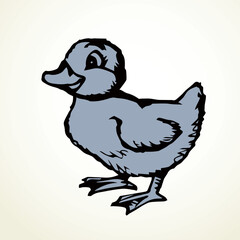 Cute duckling. Vector outline drawing