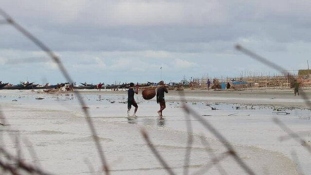 Some workers are transporting sea fish at Alorkol Sea Beach at Sundarbans, Khulna, Bangladesh.