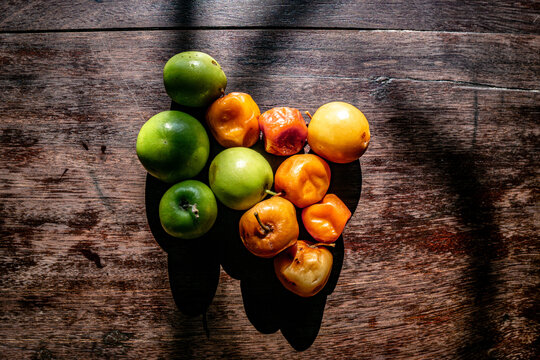 African and Zambian wild fruits