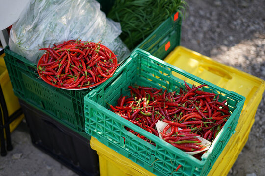 Red chili peppers in plastic boxes at the  outdoor market