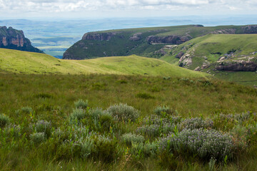 View towards the edge of a plateau in the Drakensberg mountains, with fynbos growing on the afroalpine grasslands