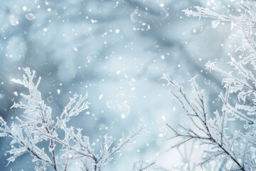 frozen winter scene with snow