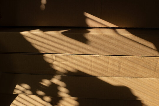 Stacked cardboard booxes with natural golden sunlight