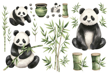 This collection showcases watercolor illustrations of pandas in different playful poses with bamboo...