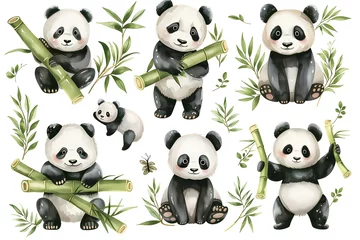 Fotobehang Set of panda in different poses, watercolor, green bamboo leaves © sparrowhawk