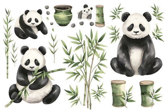 This collection showcases watercolor illustrations of pandas in different playful poses with bamboo stalks and leaves, ideal for greeting cards, educational content, and nature-themed design projects.