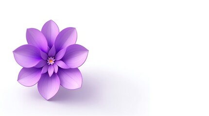 Purple flower on white background 
