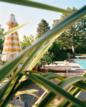 Sundbeds and Striped Umbrella in Green Mediterranean Garden
