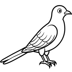 Cuckoo Vector Art Illustration