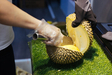 Opening Durian Fruit