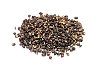 Ancient Grain: 4K Ultra HD Image of Black Nile Barley on White Background