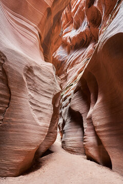 The undulating rock formations of Bulkskin Gulch