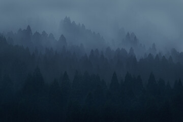 霧がかかる山の風景