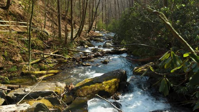 footage of the rushing waters of Smith Creek with rocks and lush green trees and plants at Anna Ruby Falls in Helen Georgia USA