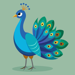  Peacock Vector Art Illustration