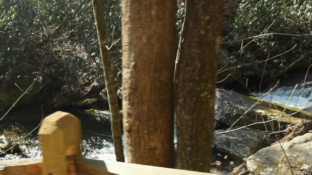 footage of the rushing waters of Smith Creek with rocks and lush green trees and plants at Anna Ruby Falls in Helen Georgia USA