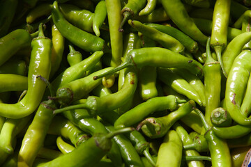 Green chili pepper on the counter of the Egyptian market. Fresh vegetables in the street bazaar