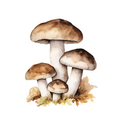 Realistic Mushroom Watercolor Artwork