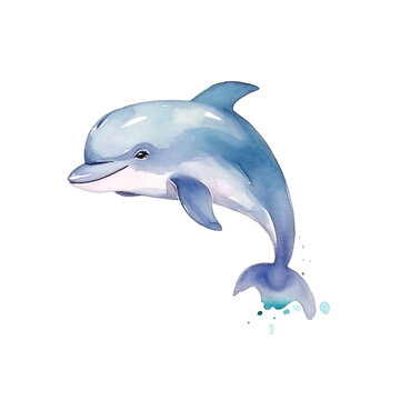 Graceful Dolphin Watercolor Illustration