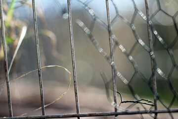 bent wire after breaking into the chicken coop © TwilightArtPictures