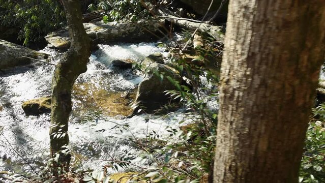 footage of the rushing waters of Smith Creek with rocks and lush green trees and plants at Anna Ruby Falls in Helen Georgia USA