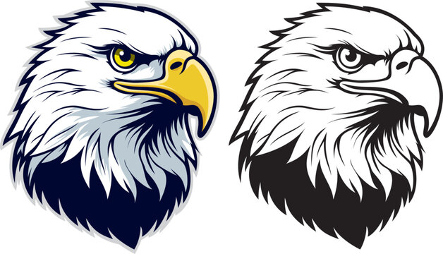 Eagle Head Front Side View