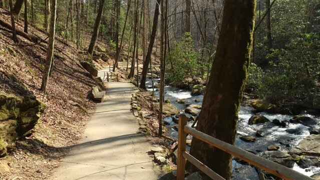 footage of the rushing waters of Smith Creek with rocks and lush green trees and plants at Anna Ruby Falls in Helen Georgia USA